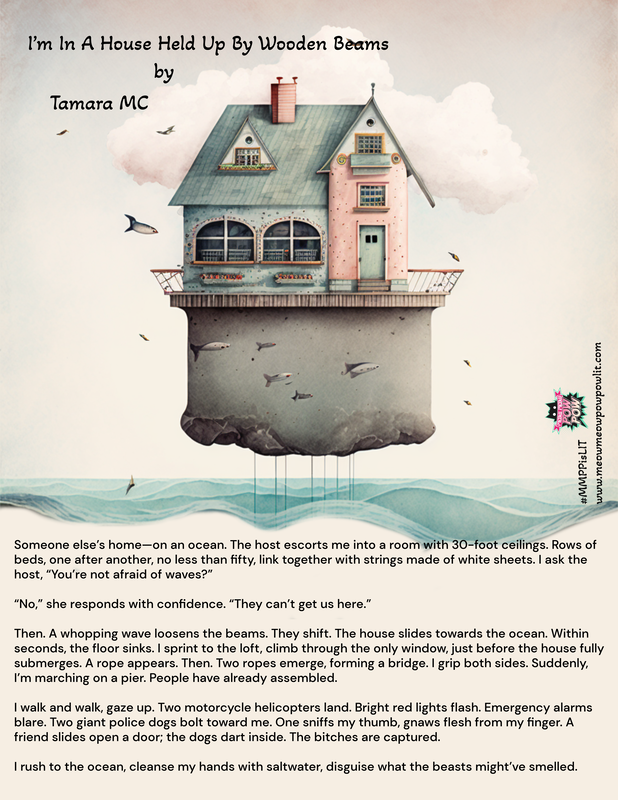 illustration of a house with stilts on top of the ocean and below is a piece titled I’m In A House Held Up By Wooden Beams